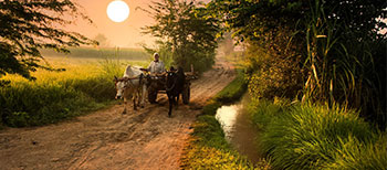 Punjab